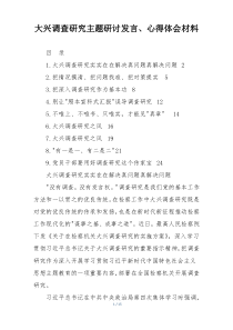 大兴调查研究主题研讨发言、心得体会材料