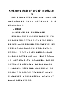 2025年学习教育“回头看”情况汇报资料合集