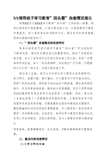 2025年度学习教育”回头看”自查报告（及部署讲话内容）5篇推荐