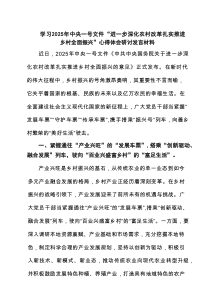 学习2025年中央一号文件“进一步深化农村改革扎实推进乡村全面振兴”心得体会研讨发言材料 5篇精选