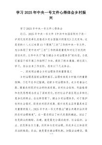 学习2025年中央一号文件心得体会乡村振兴