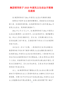 集团领导班子2025年度民主生活会开展情况通报