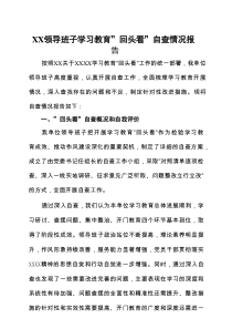 2025年度学习教育”回头看”自查报告（及部署讲话内容）汇集