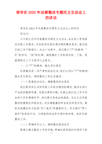 领导在2025年巡察整改专题民主生活会上的讲话