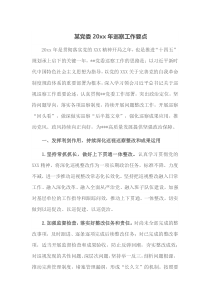 某党委20XX年巡察工作要点