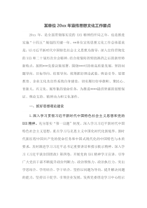 某单位20XX年宣传思想文化工作要点