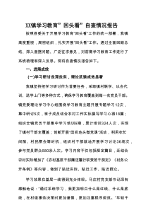 党委2025年学习教育“回头看”情况汇报5篇合集
