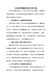 2025年村副书记工作计划