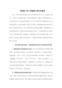 某单位20XX年组织人事工作要点