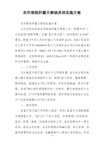 农作物秸秆露天禁烧具体实施方案
