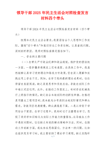 领导干部2025年民主生活会对照检查发言材料四个带头