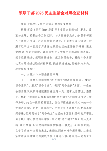 领导干部2025民主生活会对照检查材料