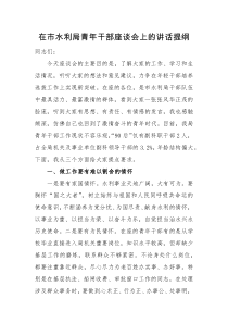 讲话提纲在市水利局青年干部座谈会上的讲话提纲