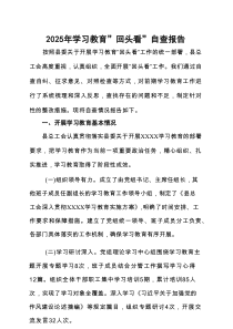 党委领导班子2025年学习教育”回头看”自查报告资料合集