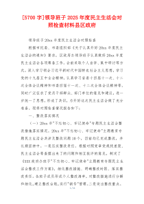 领导班子2025年度民主生活会对照检查材料县区政府