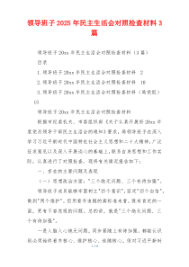 领导班子2025年民主生活会对照检查材料3篇