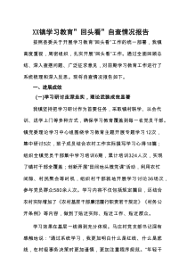 党支部2025年度学习教育”回头看”自查报告（及部署讲话内容）（多篇）
