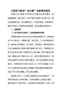 党支部对照“七查七看”学习教育”回头看”自查情况报告5个合计