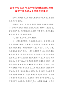 区审计局2025年上半年党风廉政建设和反腐败工作总结及下半年工作要点