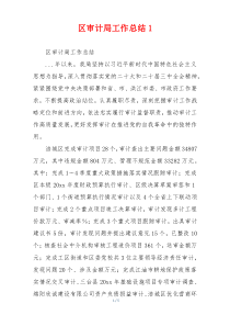 区审计局工作总结1