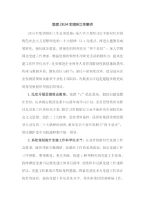 集团20XX年组织工作要点