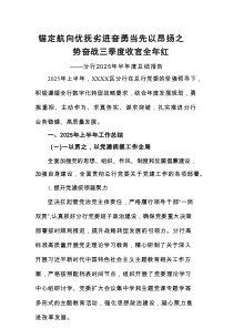分行2025年半年度总结报告