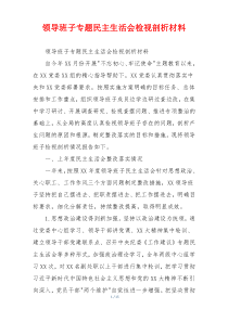 领导班子专题民主生活会检视剖析材料