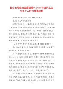 驻公安局纪检监察组组长2025年度民主生活会个人对照检查材料