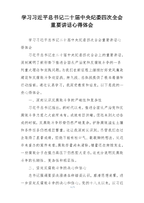 学习习近平总书记二十届中央纪委四次全会重要讲话心得体会