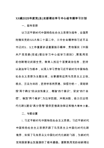 XX镇2025年度党（总）支部理论学习中心组专题学习计划