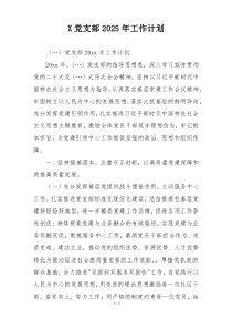 X党支部2025年工作计划
