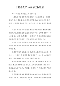 X河县支行2025年工作计划