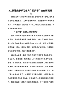 最新2025年学习教育“回头看”情况汇报合集资料5个