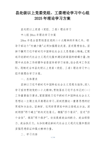 县处级以上党委党组、工委理论学习中心组2025年理论学习方案