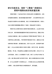 研讨交流发言：坚持“三聚焦”持续优化营商环境 推动经济高质量发展