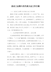 县总工会第六次代表大会工作方案