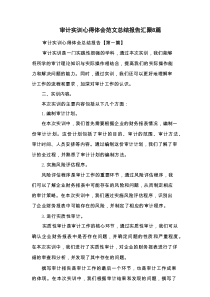 审计实训心得体会范文总结报告汇聚8篇