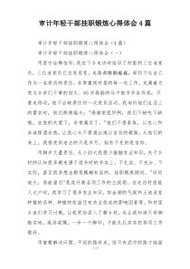 审计年轻干部挂职锻炼心得体会4篇