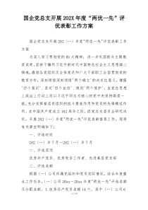 国企党总支开展202X年度“两优一先”评优表彰工作方案
