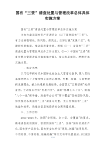 国有“三资”清查处置与管理改革总体具体实施方案