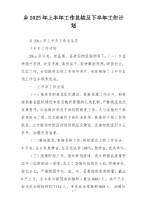 乡2025年上半年工作总结及下半年工作计划