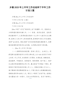 乡镇2025年上半年工作总结和下半年工作计划2篇