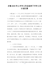 乡镇2025年上半年工作总结和下半年工作计划打算