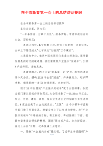 在全市新春第一会上的总结讲话提纲
