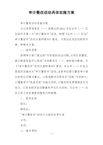 审计整改活动具体实施方案