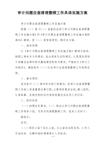 审计问题自查清理整顿工作具体实施方案