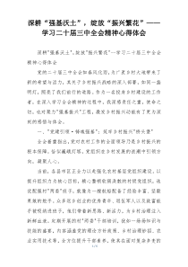 深耕“强基沃土”，绽放“振兴繁花”——学习二十届三中全会精神心得体会