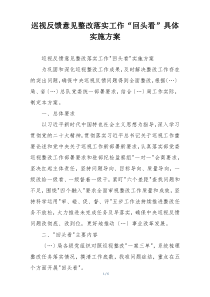 巡视反馈意见整改落实工作“回头看”具体实施方案