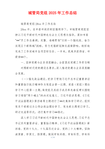 城管局党组2025年工作总结