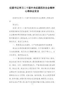 纪委书记学习二十届中央纪委四次全会精神心得体会发言
